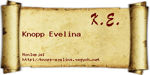 Knopp Evelina névjegykártya